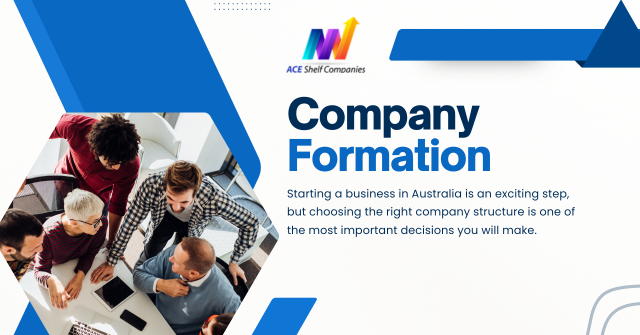 Types of Companies in Australia Explained – A Complete Guide by ACE Shelf Companies